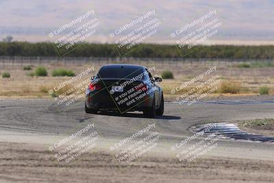 media/Oct-04-2025-OnGrid (Sat) [[44bd565ffa]]/Purple Group/Grapevine/